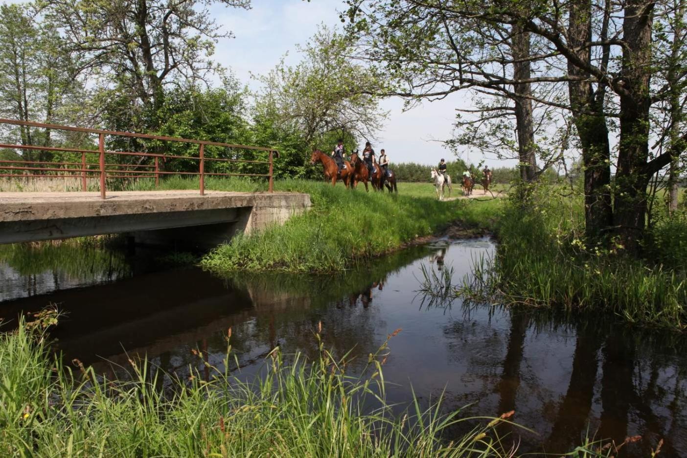 Ferienhaus Zurawi Staw- Siedlisko Obok Augustowa